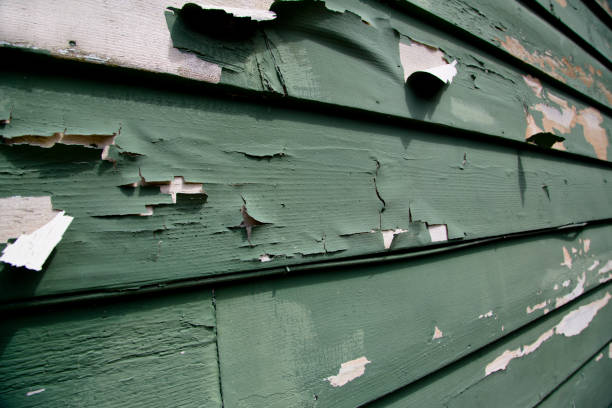 Best Residential Junk Removal  in Evansville, IN
